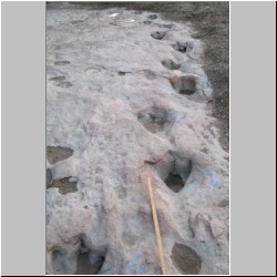 102_7410 (2013-08-17)m.JPG